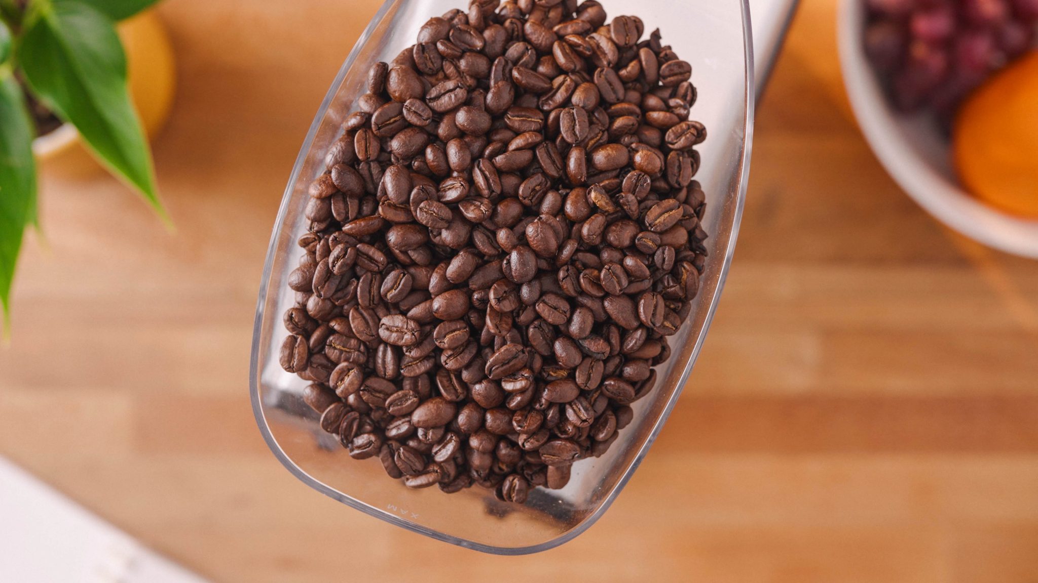 coffee beans in the pico grinder
